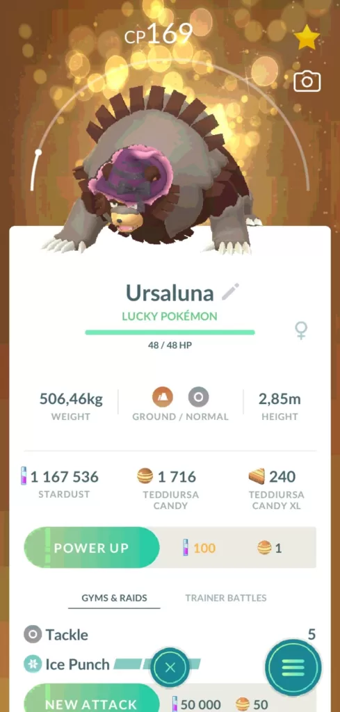 Ursaluna z gry Pokemon GO z założonym kapeluszem wiedźmy