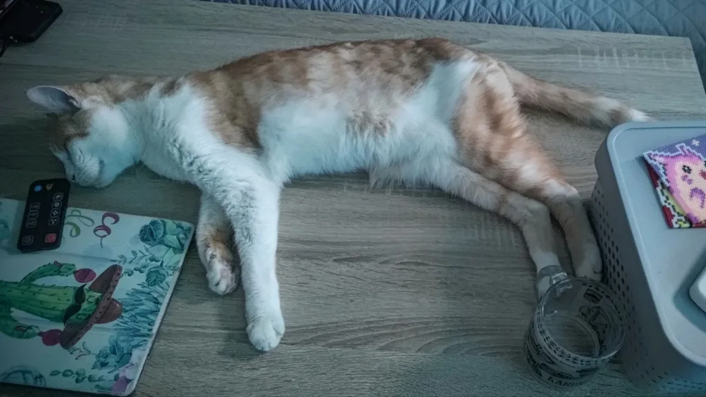 Pomarańczowo-biały kot śpi na drewnianym stole obok pilota i kubka.