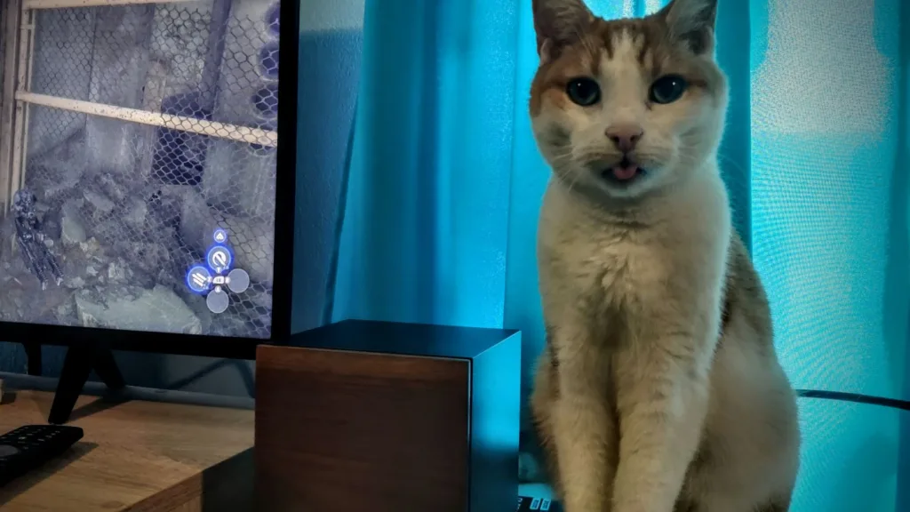 Kot siedzący przed ekranem telewizora, na którym wyświetlany jest fragment gry komputerowej.